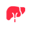 liviour logo