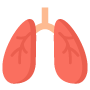 organ donation form in India
